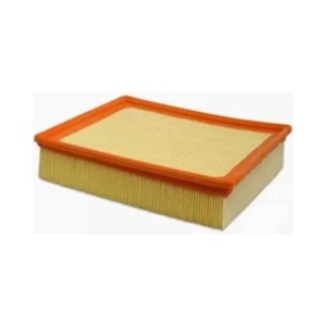 FRAM Ca 5325 - Filtro de Ar