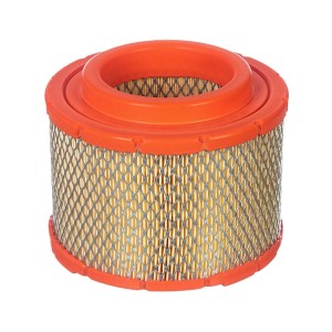 Filtro de Ar Motor HD7065